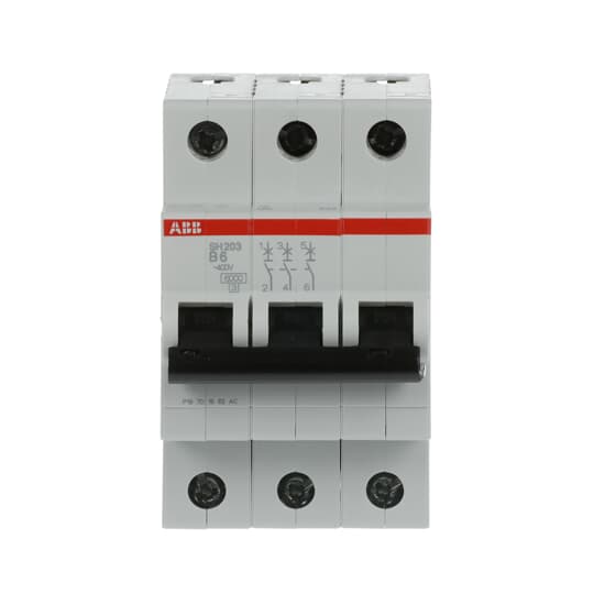 SH203-B6 2CDS213001R0065 Miniature Circuit Breakers (MCB)