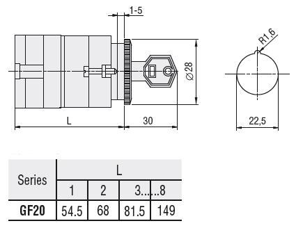 Lovato Rotary cam switch GF series, changeover switch without 0, 2 poles 20A, for front mounting without front plate with key operation for hole Ø22mm fixing — Changeover Switches