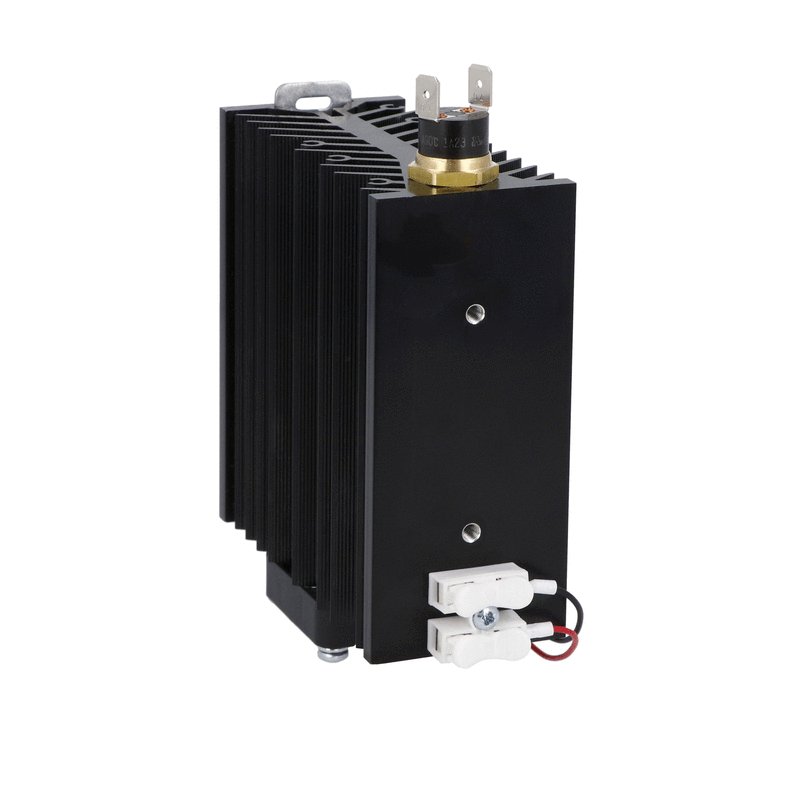HSBX HSBXH4D024 Solid State Relays (SSR)