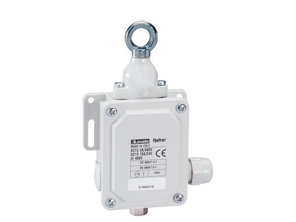 P2L P2L101311 Limit Switches