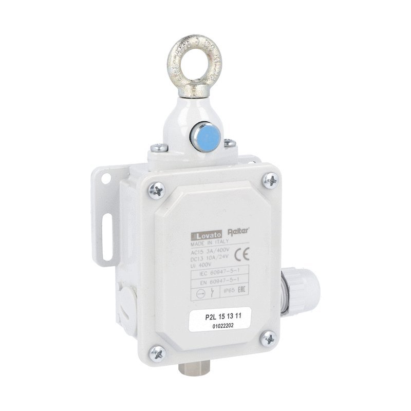 P2L151311 P2L151311 Limit Switches